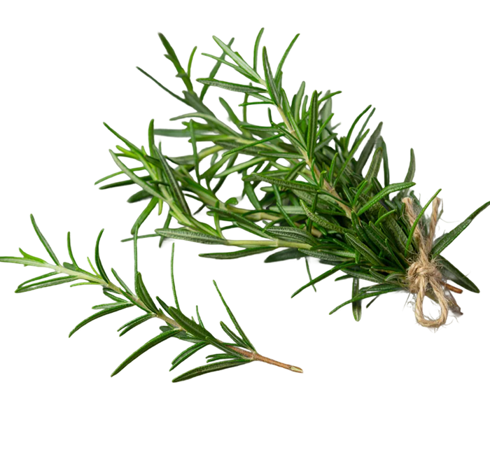 Rosemary